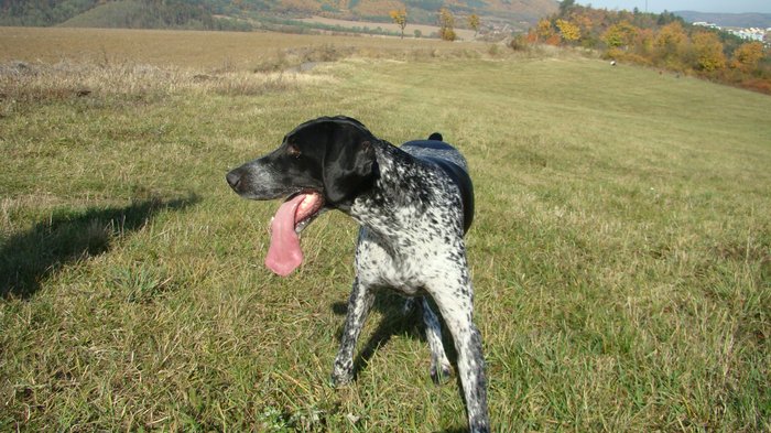 nedele_12_10_047.jpg