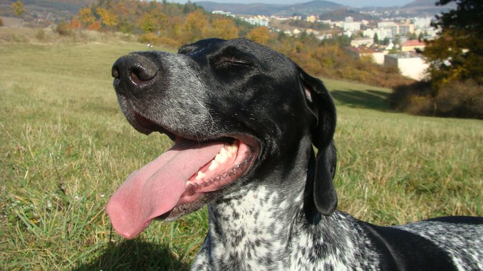 nedele_12_10_063.jpg