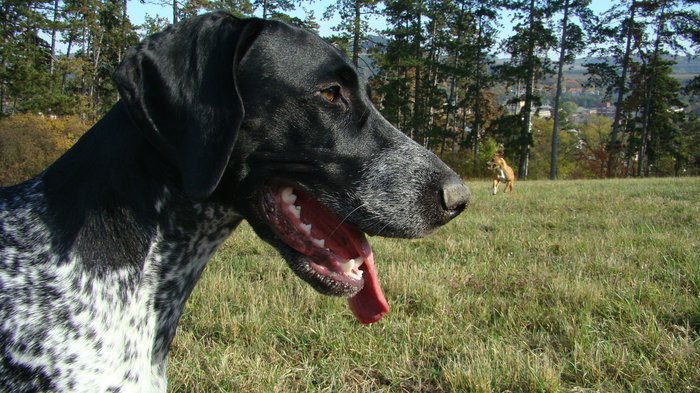 nedele_12_10_089.jpg