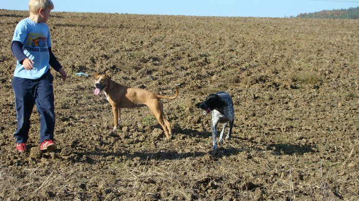 nedele_12_10_041.jpg